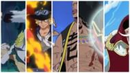 Some Devil Fruit-amped brawlers in One Piece (Image via Toei Animation)